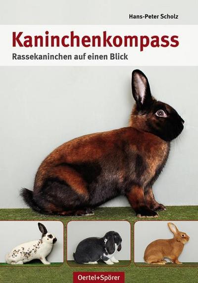 Kaninchenkompass