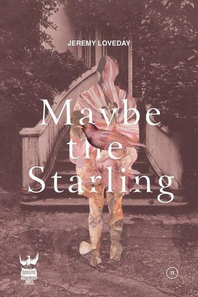 Remember the Starling