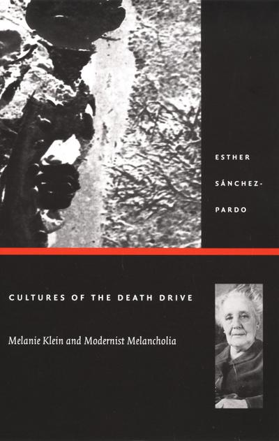 Cultures of the Death Drive