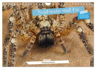 Nosferatu und Co. (Wandkalender 2025 DIN A4 quer), CALVENDO Monatskalender