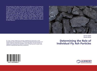 Determining the Role of Individual Fly Ash Particles