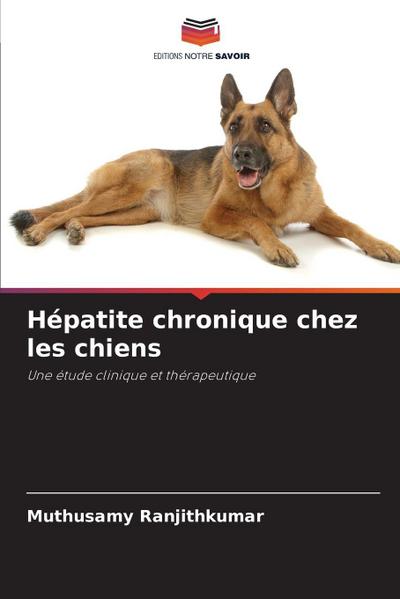 Hépatite chronique chez les chiens