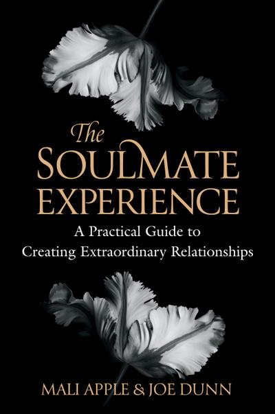 The Soulmate Experience