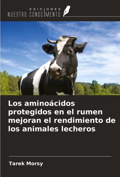 Los aminoácidos protegidos en el rumen mejoran el rendimiento de los animales lecheros