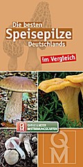 Die besten Speisepilze Deutschlands im Vergleich: 