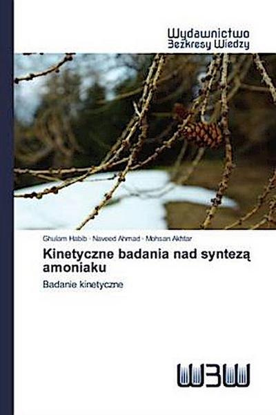 Kinetyczne badania nad syntez¿ amoniaku