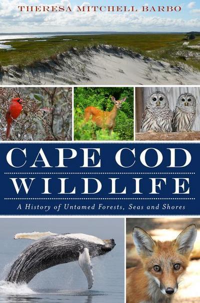 Cape Cod Wildlife