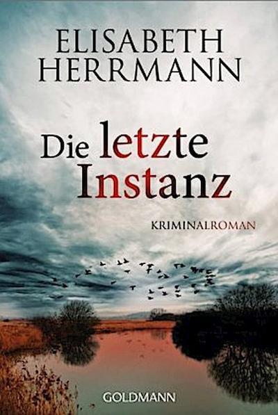 Die letzte Instanz