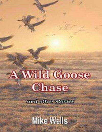 A Wild Goose Chase: And Other Stories