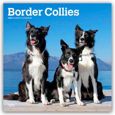Border Collies 2026 - 16-Monatskalender