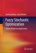 Fuzzy Stochastic Optimization