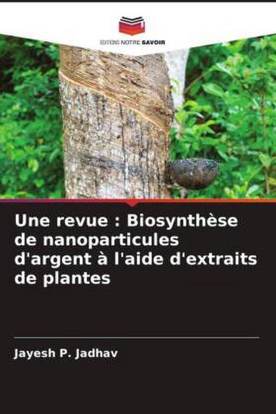 Une revue : Biosynthèse de nanoparticules d’argent à l’aide d’extraits de plantes