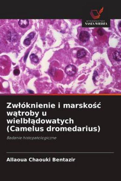 Zw¿óknienie i marsko¿¿ w¿troby u wielb¿¿dowatych (Camelus dromedarius)