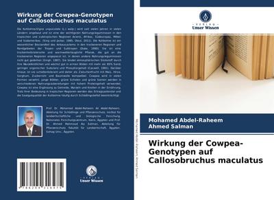 Wirkung der Cowpea-Genotypen auf Callosobruchus maculatus