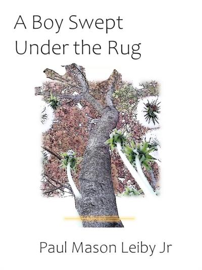 Boy Swept Under The Rug