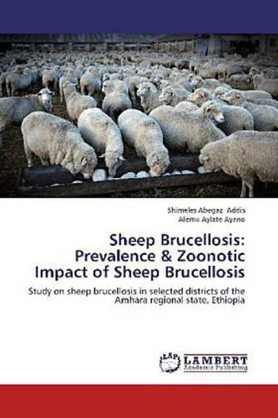 Sheep Brucellosis: Prevalence & Zoonotic Impact of Sheep Brucellosis