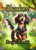 Shadow