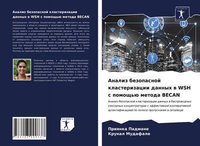 Analiz bezopasnoj klasterizacii dannyh w WSH s pomosch’ü metoda BECAN