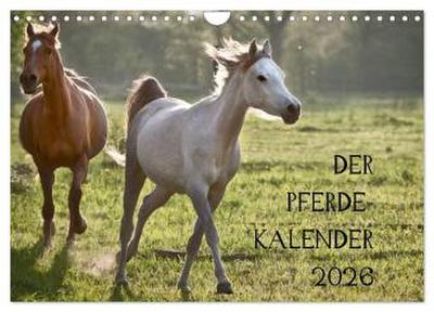 Pferdekalender (Wandkalender 2026 DIN A4 quer), CALVENDO Monatskalender
