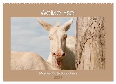 Weiße Esel - Märchenhafte Langohren (Wandkalender 2024 DIN A2 quer), CALVENDO Monatskalender