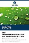 Bio-Wasserstoffproduktion aus entöltem Reiskleie