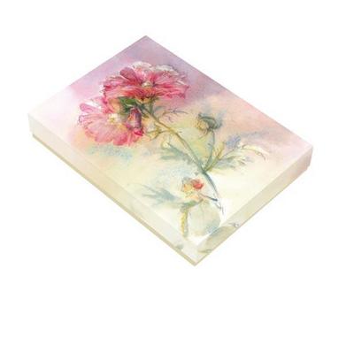 Beeindruckende Schönheiten, 10 Karten