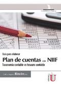 Guía para elaborar plan de cuentas con NIIF