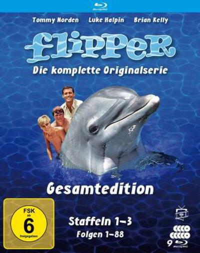 Flipper