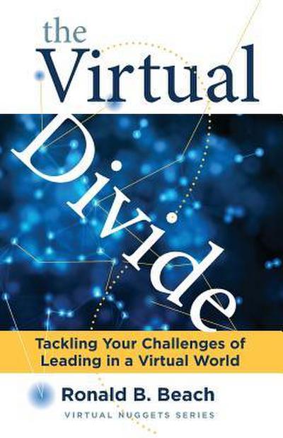 The Virtual Divide