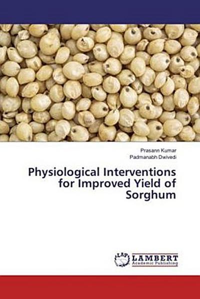 Physiological Interventions for Improved Yield of Sorghum