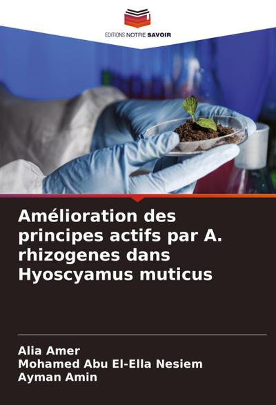 Amélioration des principes actifs par A. rhizogenes dans Hyoscyamus muticus