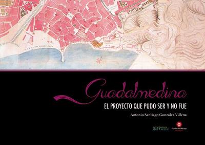 Guadalmedina : el proyecto que pudo ser y no fue