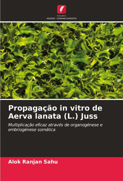 Propagação in vitro de Aerva lanata (L.) Juss