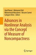 Advances in Nonlinear Analysis via the Concept of 