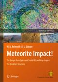 Meteorite Impact