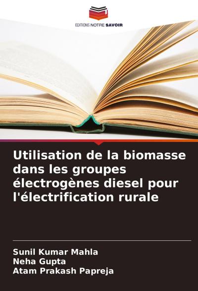 Utilisation de la biomasse dans les groupes électrogènes diesel pour l’électrification rurale