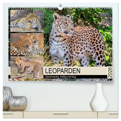 Leoparden. Geschmeidig, kräftig und klug (hochwertiger Premium Wandkalender 2026 DIN A2 quer), Kunstdruck in Hochglanz