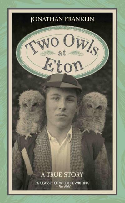 Two Owls at Eton - A True Story