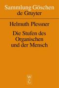 Die Stufen des Organischen und der Mensch