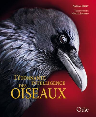 L’’étonnante intelligence des oiseaux