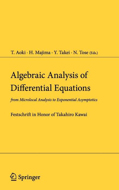 Algebraic Analysis of Differential Equations