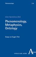 Phenomenology, Metaphysics, Ontology