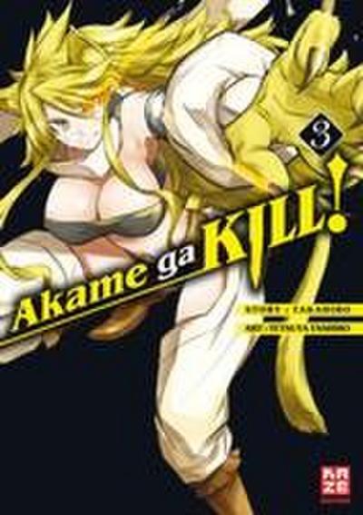 Akame ga KILL! 03