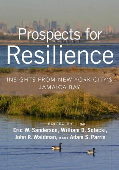 Prospects for Resilience: Insights from New York City’s Jamaica Bay