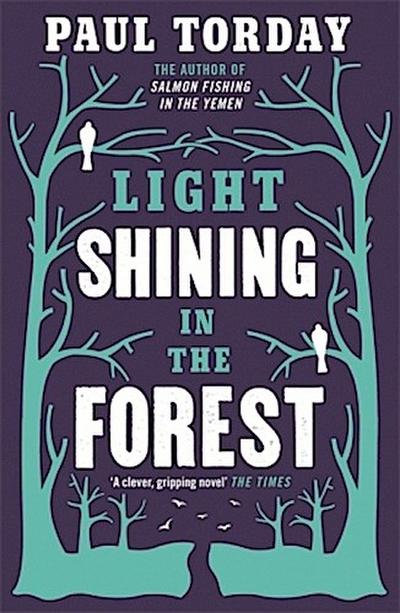 Light Shining in the Forest