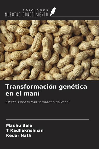 Transformación genética en el maní