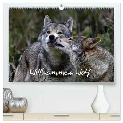 Willkommen Wolf (hochwertiger Premium Wandkalender 2026 DIN A2 quer), Kunstdruck in Hochglanz