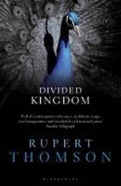 Thomson, R: Divided Kingdom