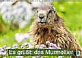Es grüßt: das Murmeltier (Wandkalender 2016 DIN A3
