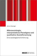 Mikrosoziologie, interpretatives Paradigma und qua